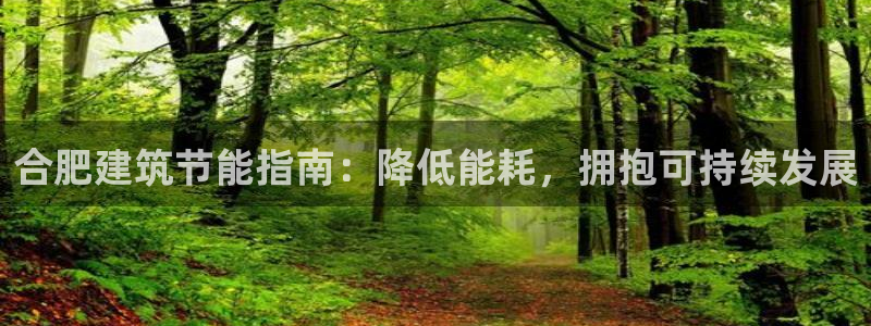 e尊国际官网app：合肥建筑节能指南：降低能耗，拥抱可持续发展