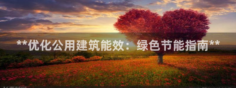 e尊国际娱乐官网下载：**优化公用建筑能效：绿色节能指南**