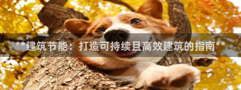 e尊国际官方网站：**建筑节能：打造可持续且高效建筑的指南**
