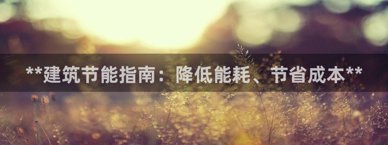 e尊国际-e尊国际官网：**建筑节能指南：降低能耗、节省成本**