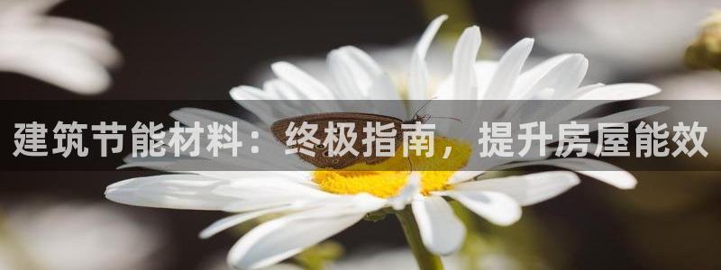 e尊国际平台：建筑节能材料：终极指南，提升房屋能效