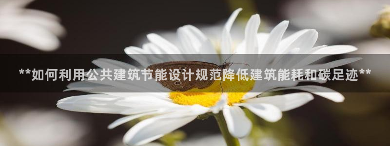 e尊国际娱乐官网地址：**如何利用公共建筑节能设计规范降低建筑能耗和碳足迹**