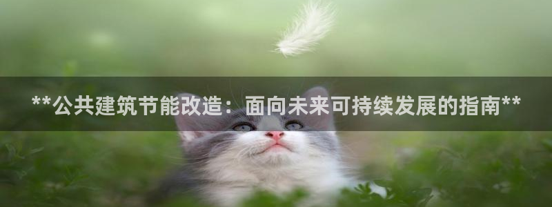 e尊国际app：**公共建筑节能改造：面向未来可持续发展的指南**