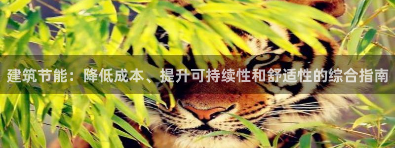 e尊国际客户端下载：建筑节能：降低成本、提升可持续性和舒适性的综合指南