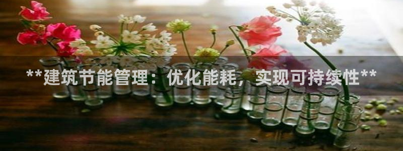 e尊国际7779：**建筑节能管理：优化能耗，实现可持续性**