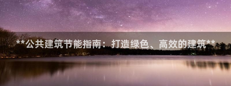 E尊国际：**公共建筑节能指南：打造绿色、高效的建筑**