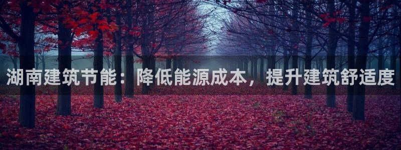 e尊国际可靠吗：湖南建筑节能：降低能源成本，提升建筑舒适度
