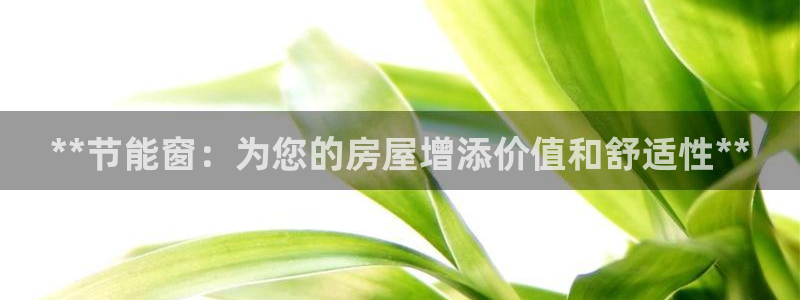 e尊体育：**节能窗：为您的房屋增添价值和舒适性**