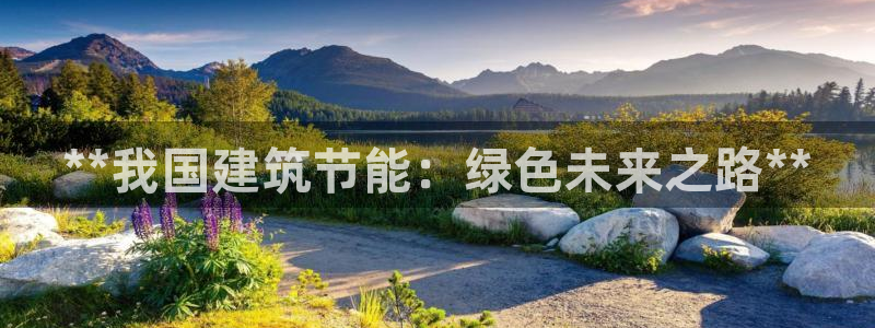 e尊国际网址：**我国建筑节能：绿色未来之路**