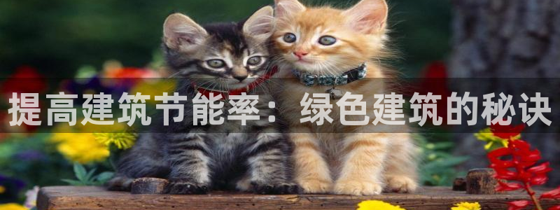 e尊国际娱乐官网地址：提高建筑节能率：绿色建筑的秘诀