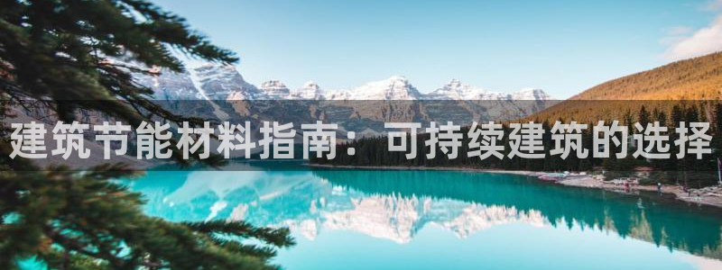 e尊国际可靠吗：建筑节能材料指南：可持续建筑的选择