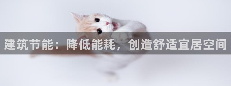 e尊国际-e尊国际官网：建筑节能：降低能耗，创造舒适宜居空间