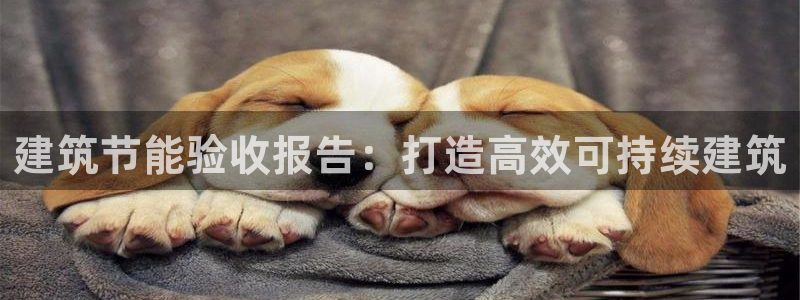 e尊国际的手机登录网站：建筑节能验收报告：打造高效可持续建筑