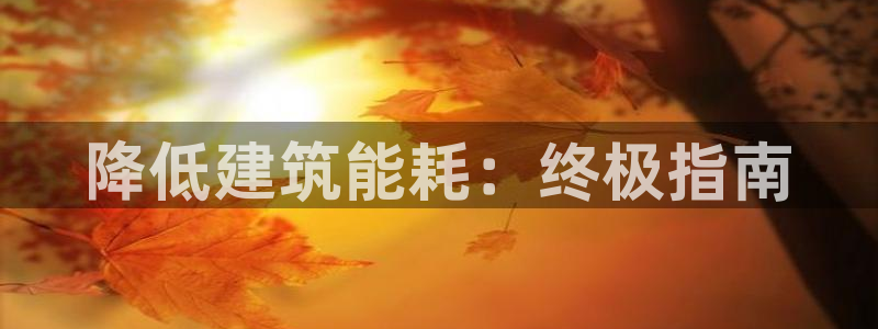 谁知道e尊国际的网址：降低建筑能耗：终极指南