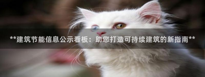 e尊国际是干什么的：**建筑节能信息公示看板：助您打造可持续建筑的新指南**