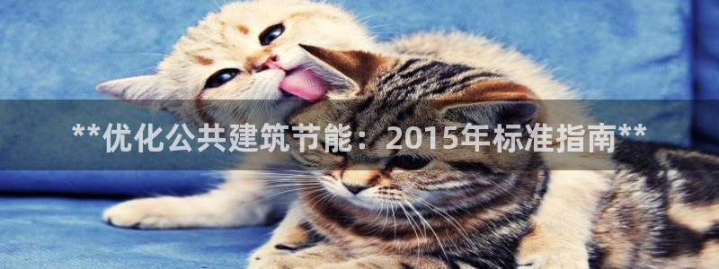 e尊国际客服：**优化公共建筑节能：2015年标准指南**