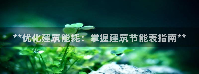 e尊国际官网app：**优化建筑能耗：掌握建筑节能表指南**