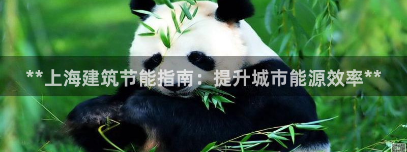 e尊电竞：**上海建筑节能指南：提升城市能源效率**