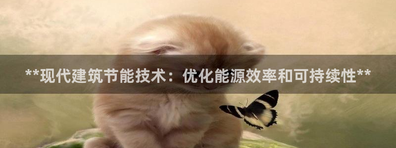 e尊国际可靠吗：**现代建筑节能技术：优化能源效率和可持续性**
