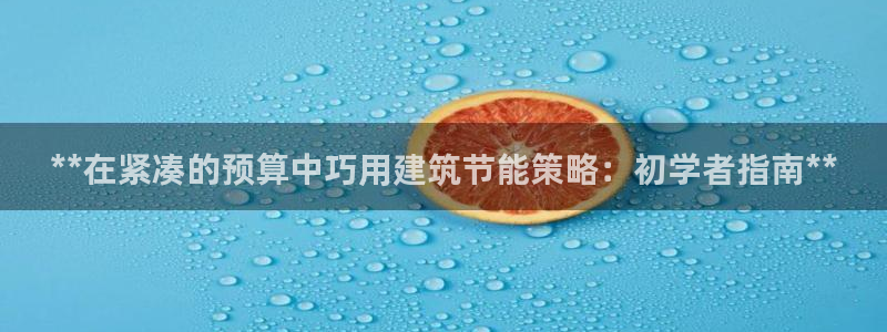 尊亿游戏国际官网：**在紧凑的预算中巧用建筑节能策略：初学者指南**