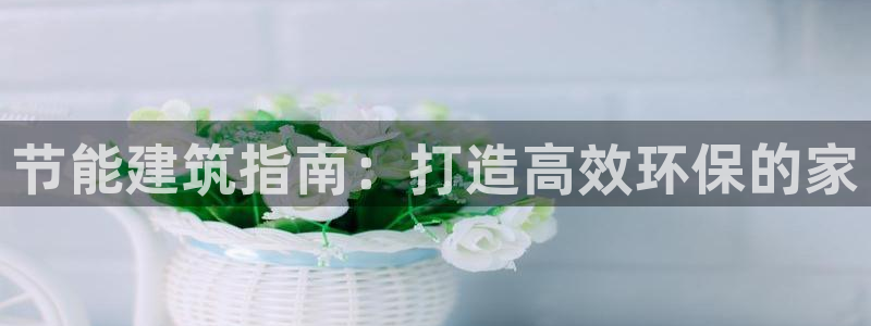 e尊国际地址：节能建筑指南：打造高效环保的家