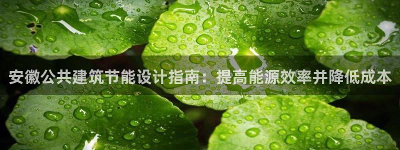 e尊国际-e尊国际官网：安徽公共建筑节能设计指南：提高能源效率并降低成本