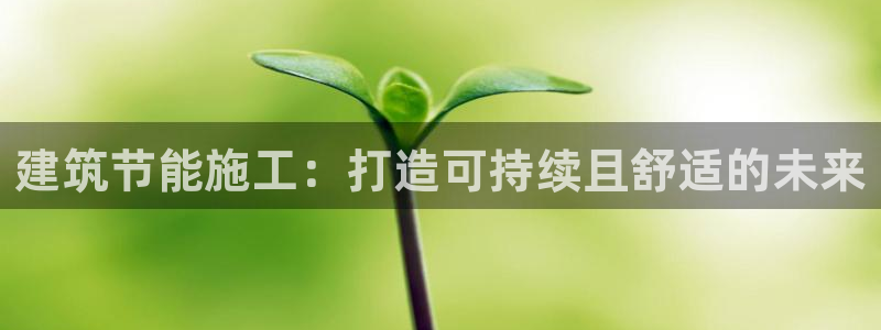 e尊官网：建筑节能施工：打造可持续且舒适的未来