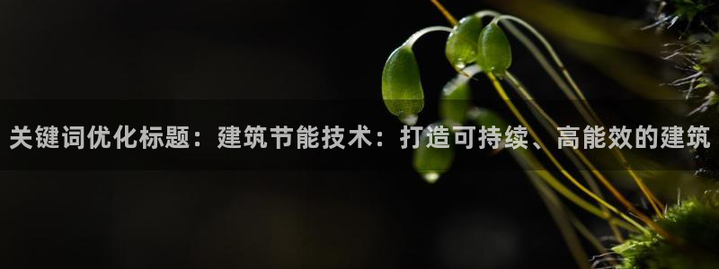 e尊国际官网：关键词优化标题：建筑节能技术：打造可持续、高能效的建筑