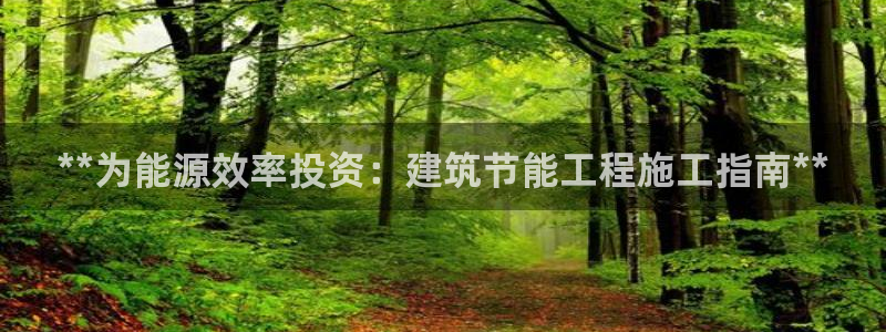 e尊国际娱乐官网地址：**为能源效率投资：建筑节能工程施工指南**