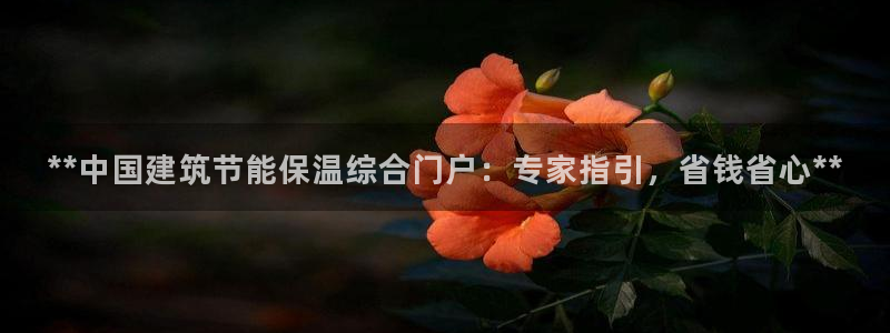 e尊国际网址：**中国建筑节能保温综合门户：专家指引，省钱省心**