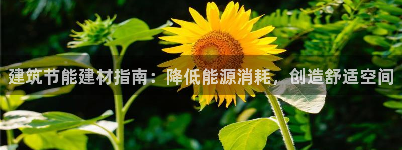 e尊国际-e尊国际官网：建筑节能建材指南：降低能源消耗，创造舒适空间