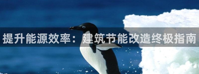 e尊国际客户端：提升能源效率：建筑节能改造终极指南
