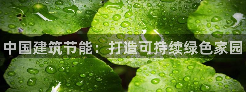 e尊国际的手机登录网站：中国建筑节能：打造可持续绿色家园
