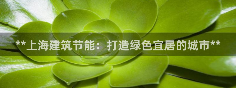 e尊国际客户端：**上海建筑节能：打造绿色宜居的城市**