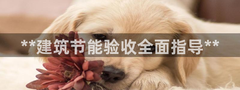 e尊国际平台：**建筑节能验收全面指导**