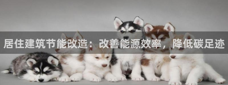 e尊国际官网：居住建筑节能改造：改善能源效率，降低碳足迹