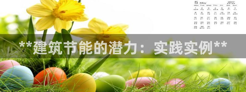 e尊国际客户端下载：**建筑节能的潜力：实践实例**