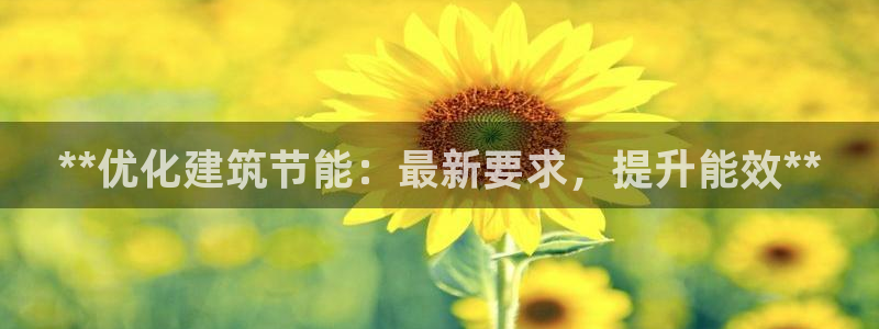 e尊国际-e尊国际官网：**优化建筑节能：最新要求，提升能效**