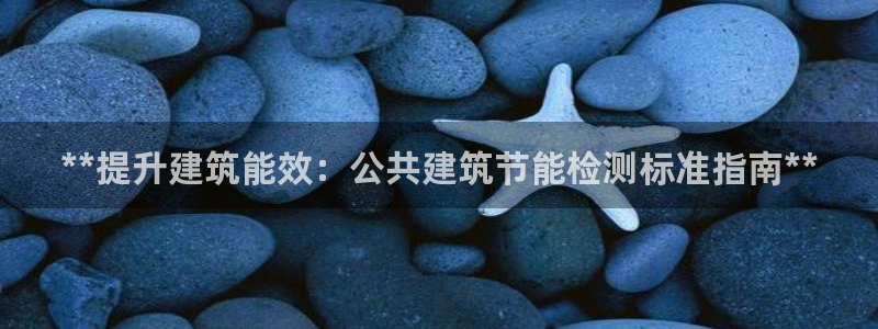 尊亿娱乐国际官网：**提升建筑能效：公共建筑节能检测标准指南**