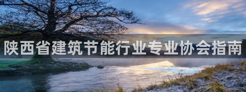 e尊国际-e尊国际官网：陕西省建筑节能行业专业协会指南