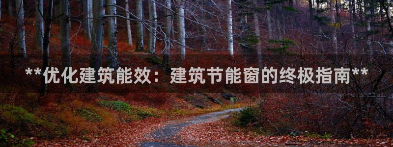 e尊平台：**优化建筑能效：建筑节能窗的终极指南**