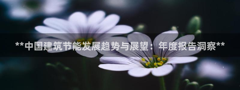 e尊国际是干什么的：**中国建筑节能发展趋势与展望：年度报告洞察**