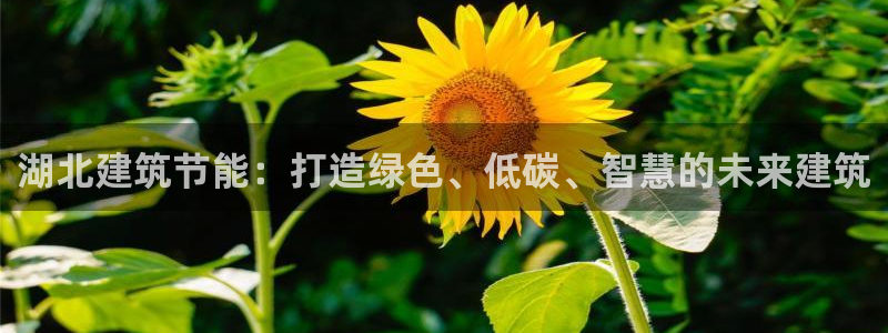 e尊体育：湖北建筑节能：打造绿色、低碳、智慧的未来建筑