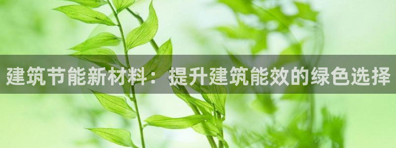 e尊国际是个黑网：建筑节能新材料：提升建筑能效的绿色选择
