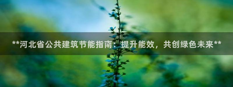 e尊官网：**河北省公共建筑节能指南：提升能效，共创绿色未来**