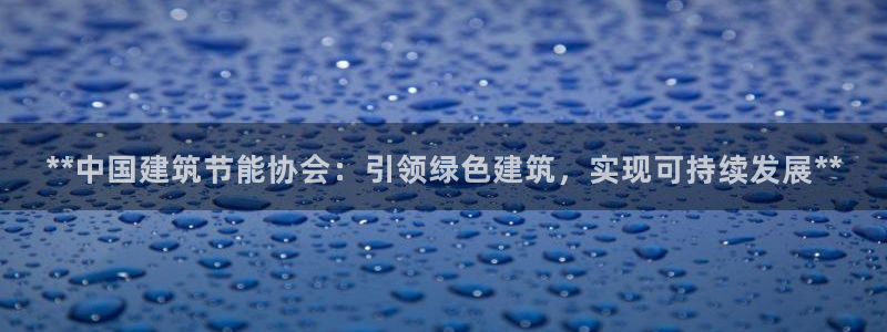 e尊国际app：**中国建筑节能协会：引领绿色建筑，实现可持续发展**