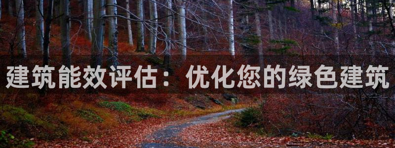 e尊国际-e尊国际官网：建筑能效评估：优化您的绿色建筑