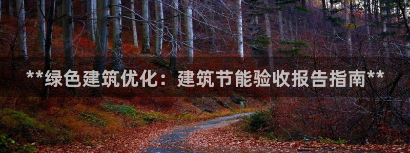 e尊国际可靠吗：**绿色建筑优化：建筑节能验收报告指南**