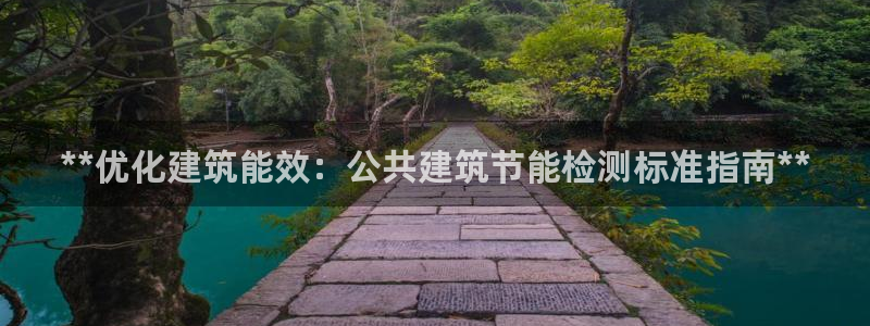 e尊国际客户端：**优化建筑能效：公共建筑节能检测标准指南**