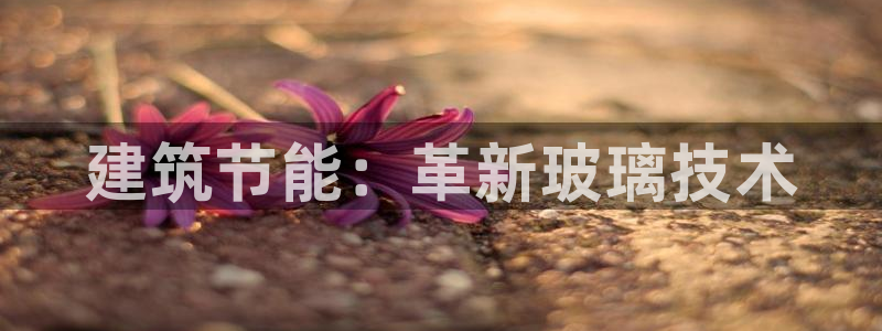 e尊国际网址：建筑节能：革新玻璃技术
